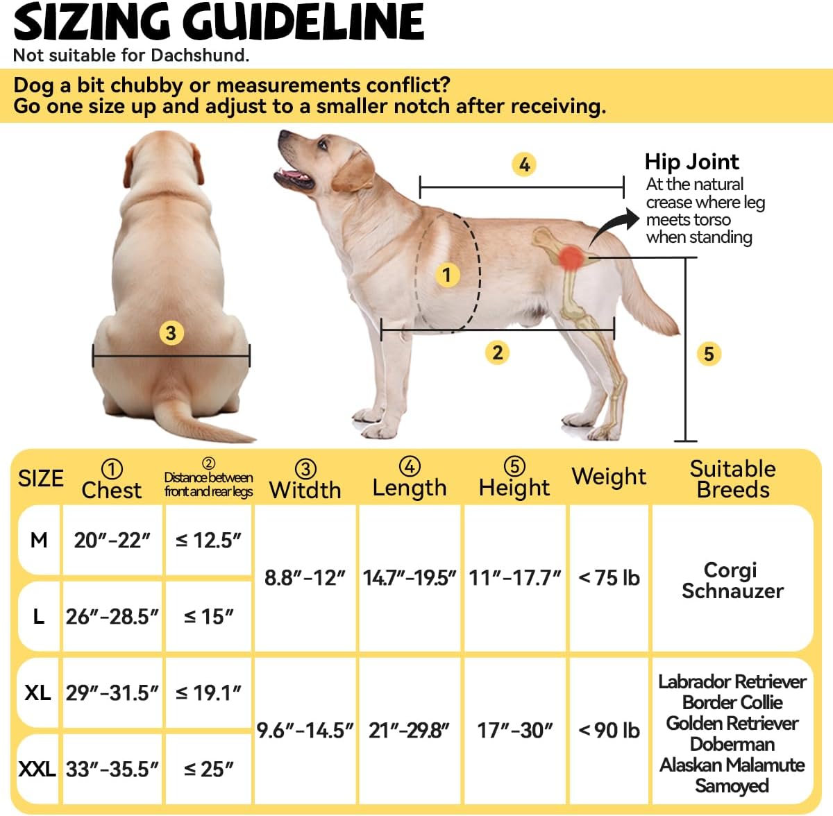 Dog Wheelchair for Back Legs Large Small, Newly Wheelchair for Dogs, Adjustable Dog Carts with Wheels for Disabled Hind Legs, Waterproof, with LED, Leash, Angle-Adjustable Wheels